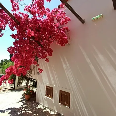 Artemis Holiday home