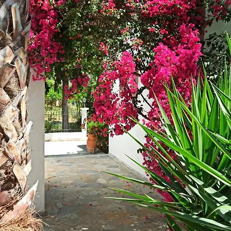 Artemis Holiday home