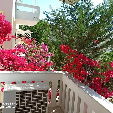 Holiday home Artemis *